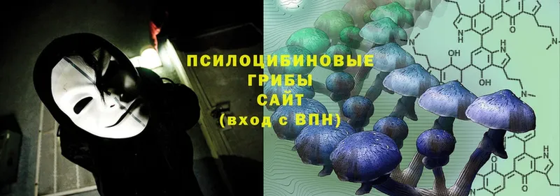 Галлюциногенные грибы Psilocybine cubensis  Кондопога 