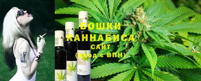 Бошки марихуана марихуана  магазин продажи   Кондопога 